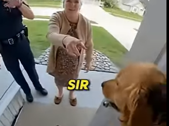 P0801004 He Caught Her Painting Dog Then Called (Part 2)