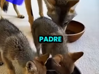 L0201009 Rescate a tiempo