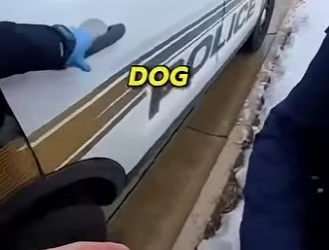 P0801001 Arrested Shaving His Dog (Part 2)