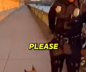 P0801002 Dog Saves People Explosion! (Part 2)