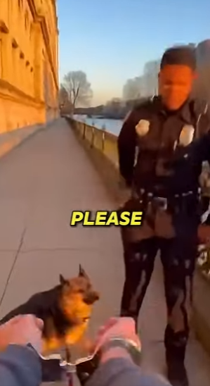 P0801002 Dog Saves People Explosion! (Part 2)