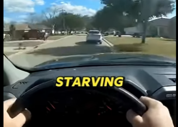 P0801007 Man Saved Starving Dog Abusive Owner Police Tried To Arrest MAN! (Part 2)