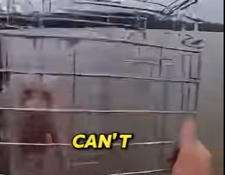 P0801009 She Just Saved Her Dog Tried To Put Him In Cage (Part 2)