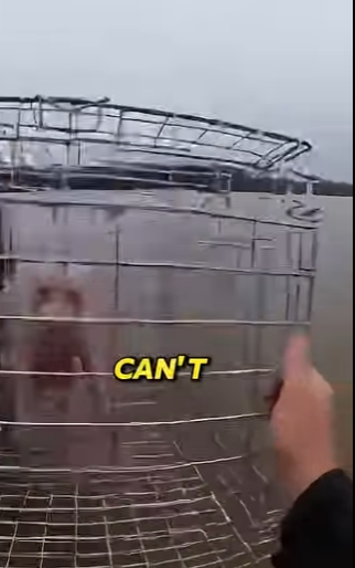 P0801009 She Just Saved Her Dog Tried To Put Him In Cage (Part 2)