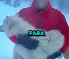 L0201007 Salvado hoy (Part 2)