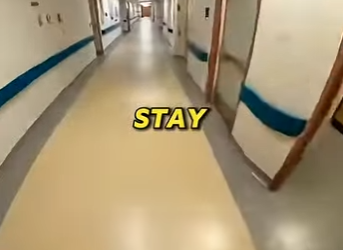 P0801010 She Put Dog In Balloon To Blow Her Sons TikTok Account (Part 2)