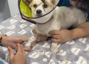 L0901004 Su cabeza fue cortada perforada (Part 2)