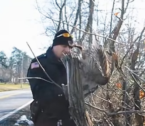 I0701011 They found owl barely moving inside barn (Part 2)
