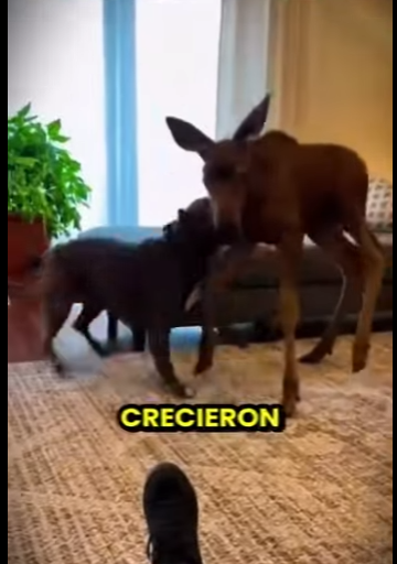 L0201006 Protección y cuidado (Parte 2)