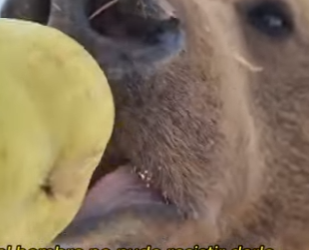 A0901004 Del miedo a la seguridad en segundos (Part 2)