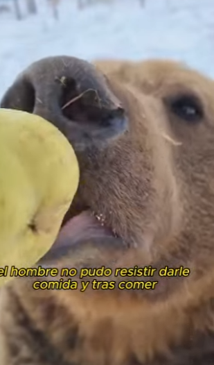 A0901004 Del miedo a la seguridad en segundos (Part 2)