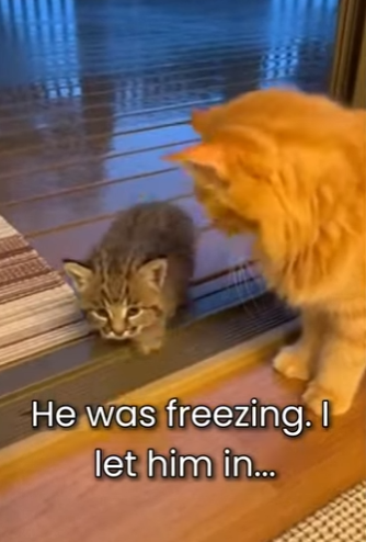 M0801008 From abandoned to protected (Part 2)