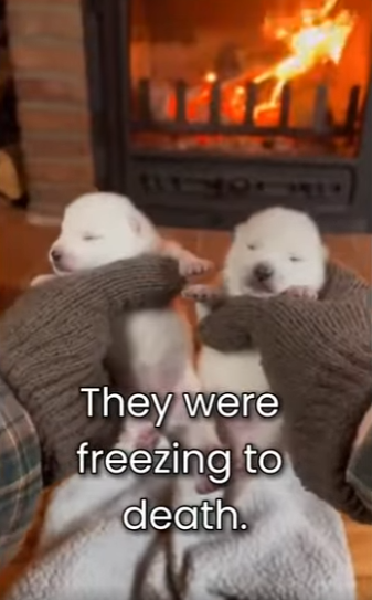 M0801010 Saving lives, one at a time. (Part 2)