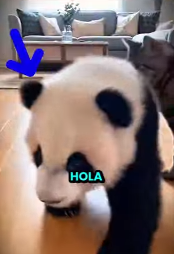 L0201010 Rescate a tiempo (Parte 2)