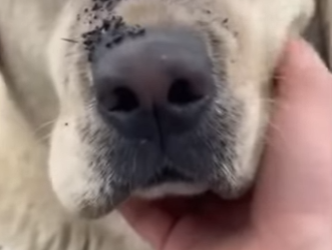 This rescue changed everything (Part 2)