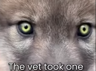 M0801012 A second chance given. (Part 2)