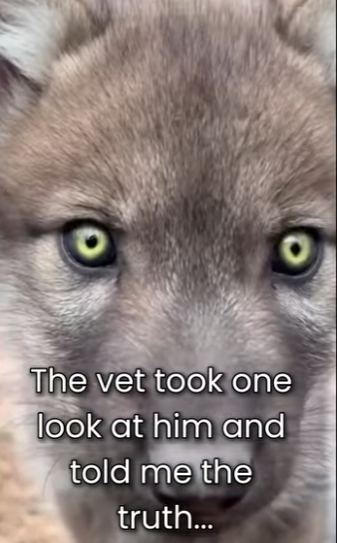 M0801012 A second chance given. (Part 2)