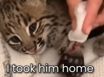 M0801011 Fear fades when love appears. (Part 2)