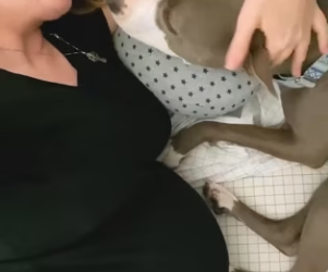 W0506003 Special Thank You To All Moms Doing Impossible (Part 2)