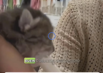 Una vida protegida es una victoria (Part 2)