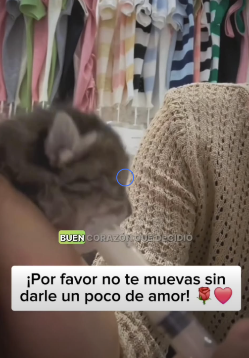 Una vida protegida es una victoria (Part 2)