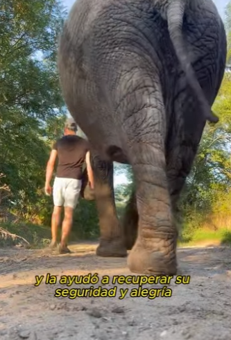 L0901019 Alguna vez has visto un elefante dotado (Parte 2)