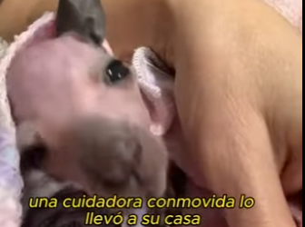 L0901008 Salvado porque alguien apareció (Part 2)