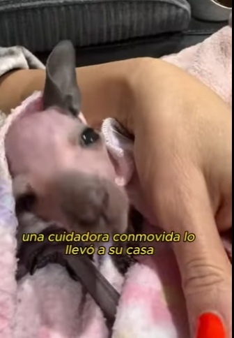 L0901008 Salvado porque alguien apareció (Part 2)