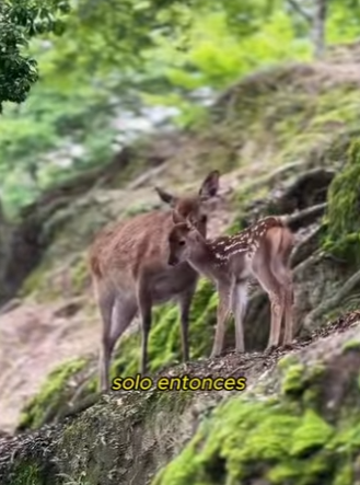 L0901015 La madre de Lu pensó que el hombre lastimó su hijo (Parte 2)