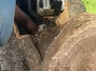 B0701007 Her friends were waiting her (Part 2)