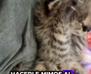 R1001013 Servicios de rescate (Parte 2)