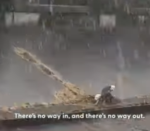 W0901005 Abandoned Pitties Stuck In Canal In Rain Get Rescued (Part 2)