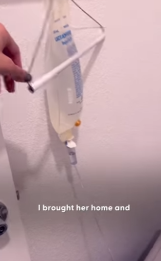 W0901009 Abandoned Puppy in Basket Finds Love Her Rottweiler Sister (Part 2)