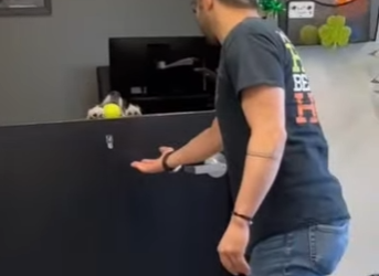 W0901013 Rescue dog politely waits someone to play (Part 2)