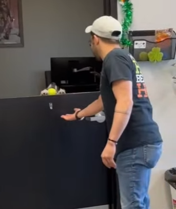 W0901013 Rescue dog politely waits someone to play (Part 2)