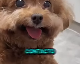 Le tiraron su casa al río y mira cómo REACCIONÓ después (Parte 2)