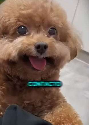 Le tiraron su casa al río y mira cómo REACCIONÓ después (Parte 2)