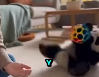 L0512011 Lo que apareció en su felpudo te dejará SIN PALABRAS (Parte 2)