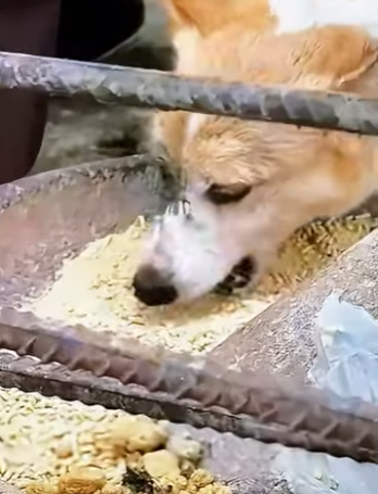 S0801009 Gentle care saves lives (Part 2)