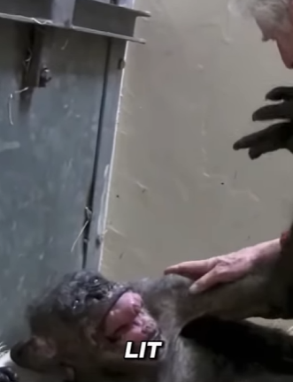 B0901009 Goodbye Broke Millions (Part 2)