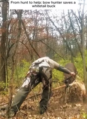 I0901014 hunt to help bow hunter saves whitetail buck (Part 2)