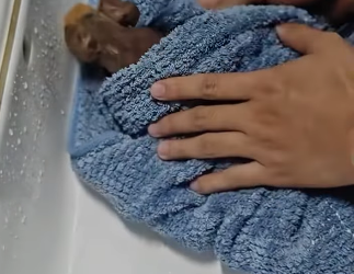 R1201005 Rescatar al hipopótamo (Part 2)