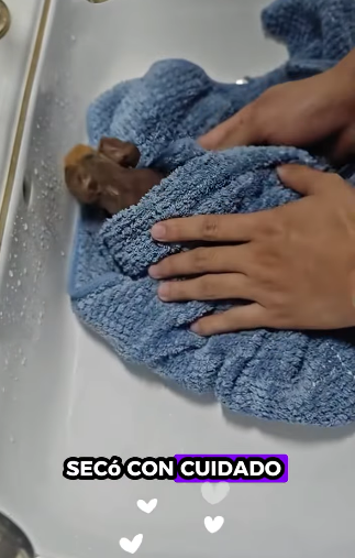 R1201005 Rescatar al hipopótamo (Part 2)