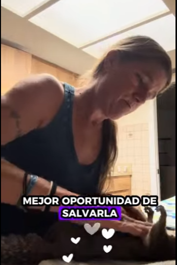 R1201001 Ardillas rescatadas (Part 2)