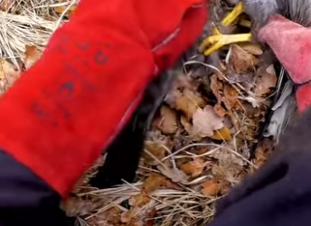 I0901016 At first, it looked like fight (Part 2)