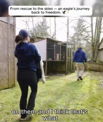 I0901003 rescue to skies an eagle journey back to freedom (Part 2)