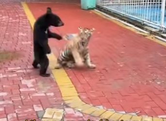 A1201004 Su relación es muy buena (Parte 2)