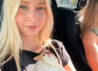 A1201001 Patos rescatados (Parte 2)