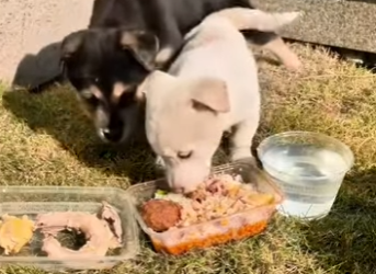 Porque cada vida cuenta (Parte 2)