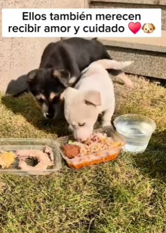 Porque cada vida cuenta (Parte 2)